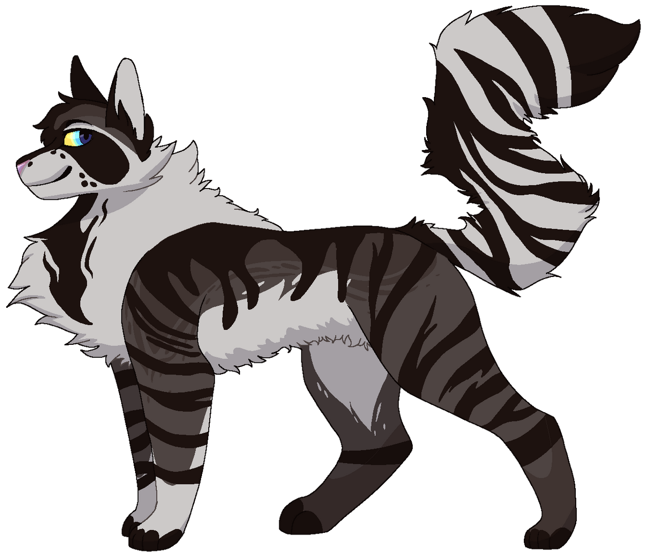 The him the racoon cat by bunny60lazy on DeviantArt