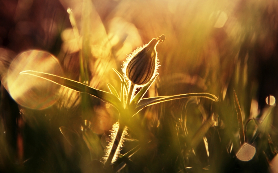 Autumn morning