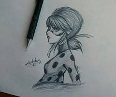 Ladybug Sketch