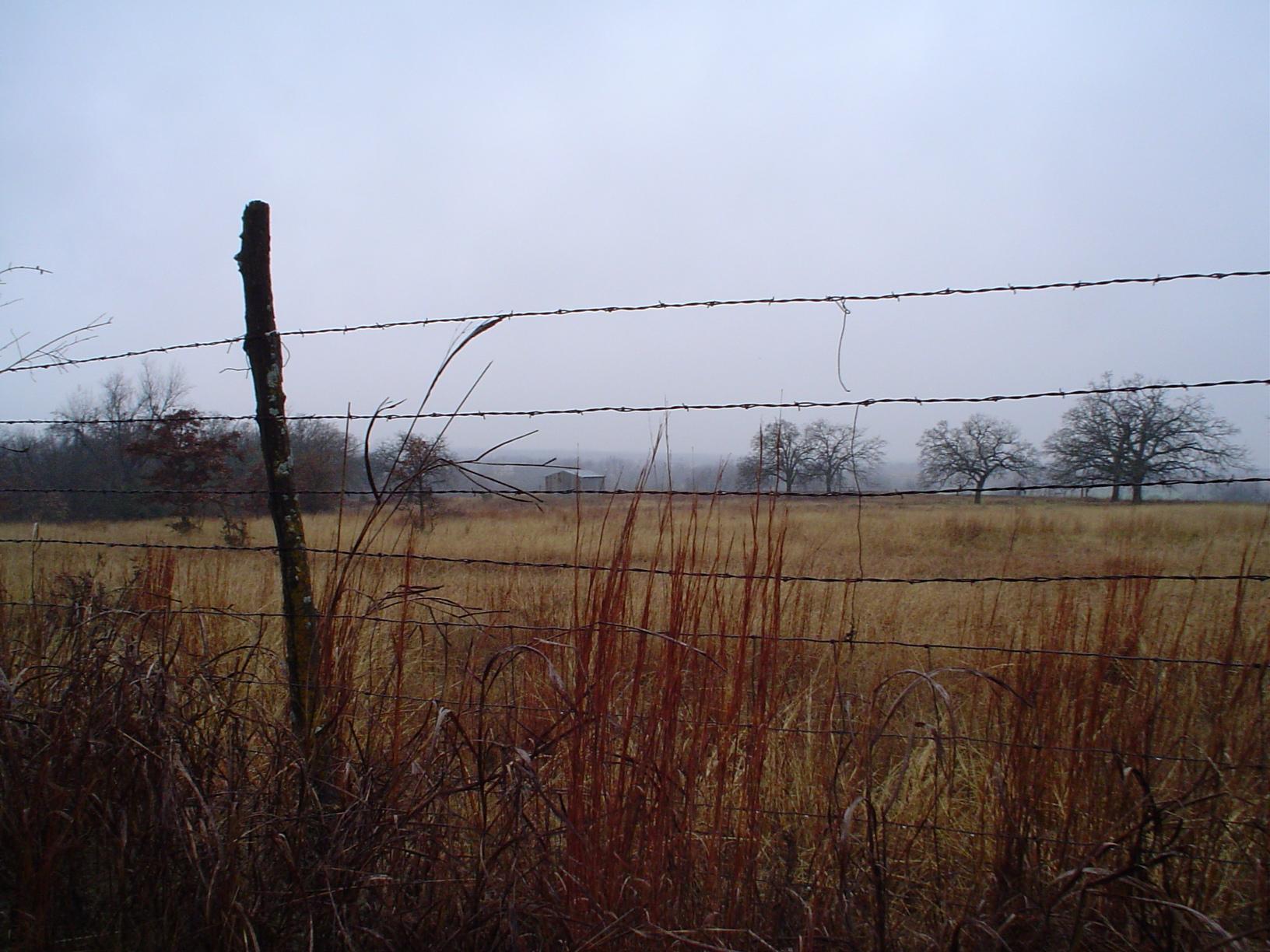 Fog Devours the Shed