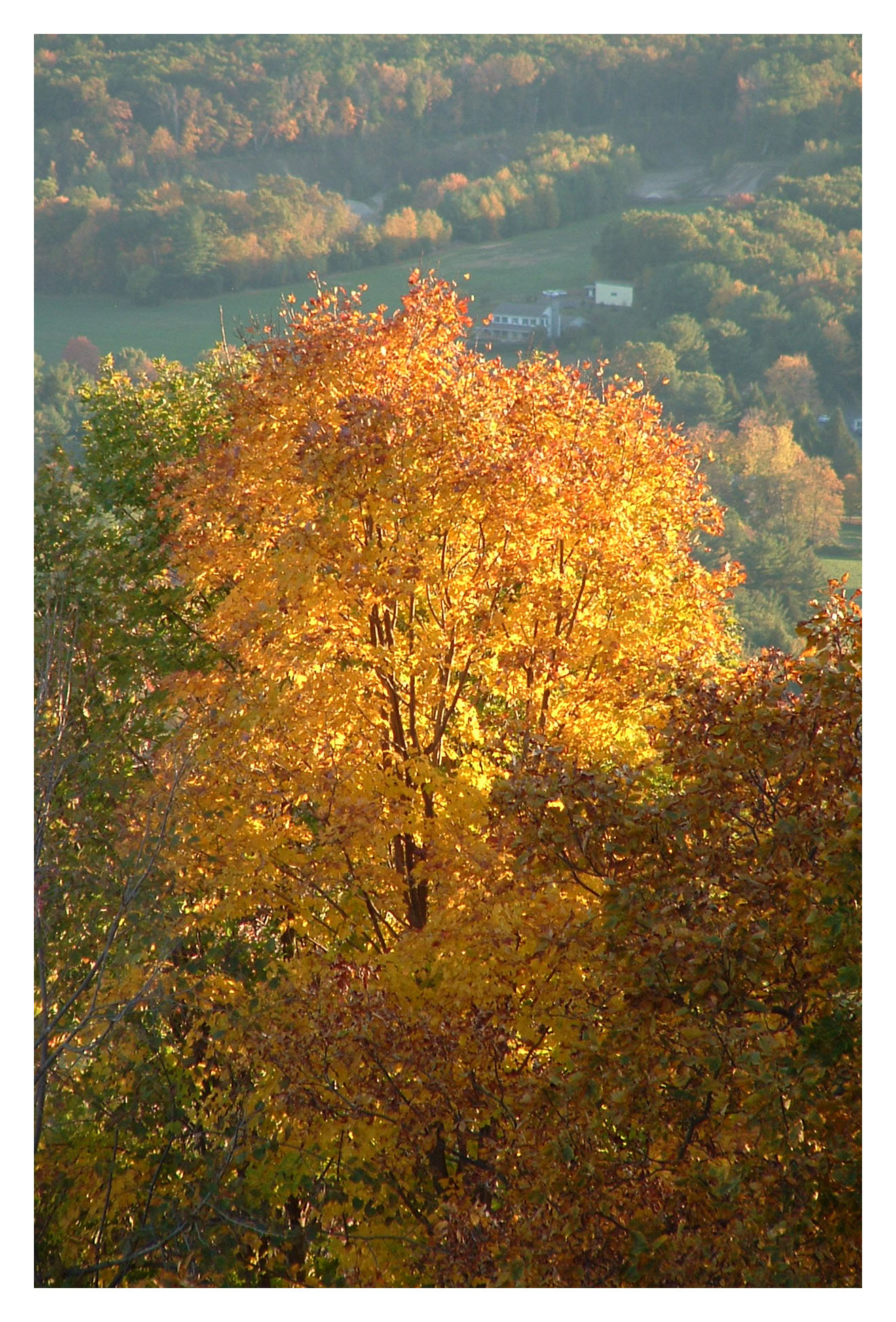 Autumn on Mt. Holyoke