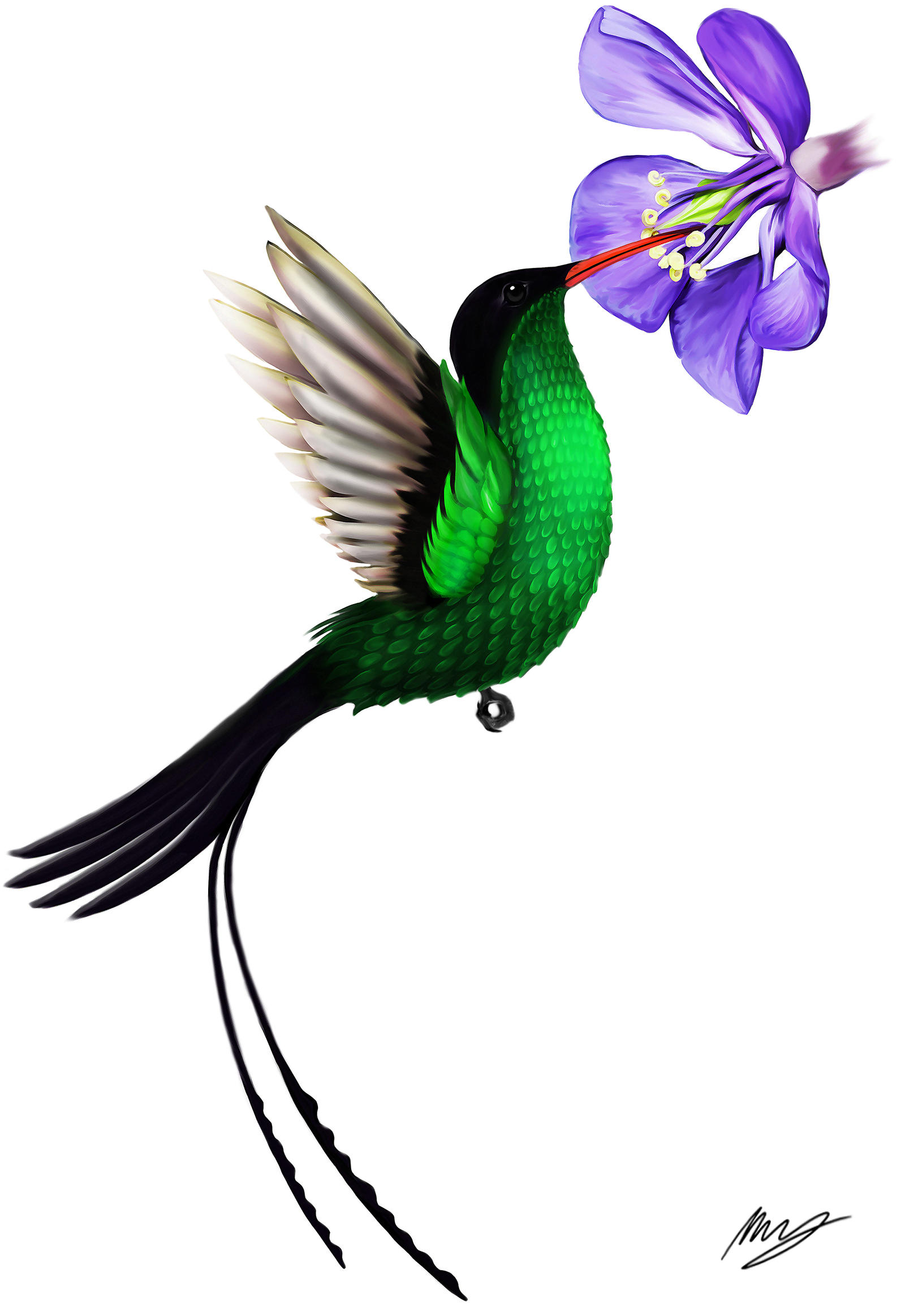 What Is Jamaica National Flower Best Flower Site what-is-jamaica-national-flower-best-flower-site