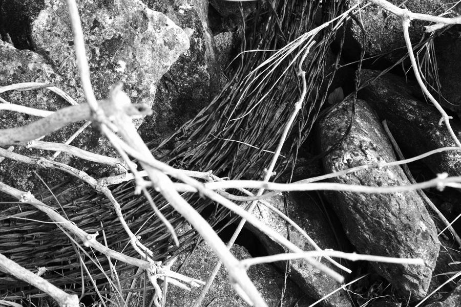 Devil's rope by seansolo on DeviantArt