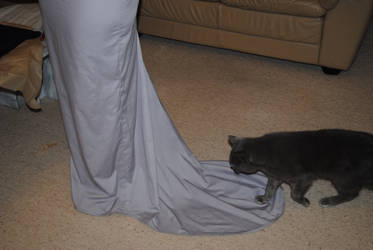 Grey Underskirt with Cat.