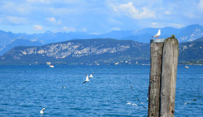 Lago di Garda