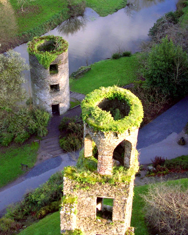 Blarney Towers