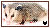 Opossum Love Stamp