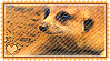 Meerkat Love Stamp