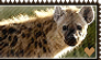 Hyena Love Stamp