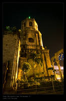 Cebu Metropolitan Cathedral 5