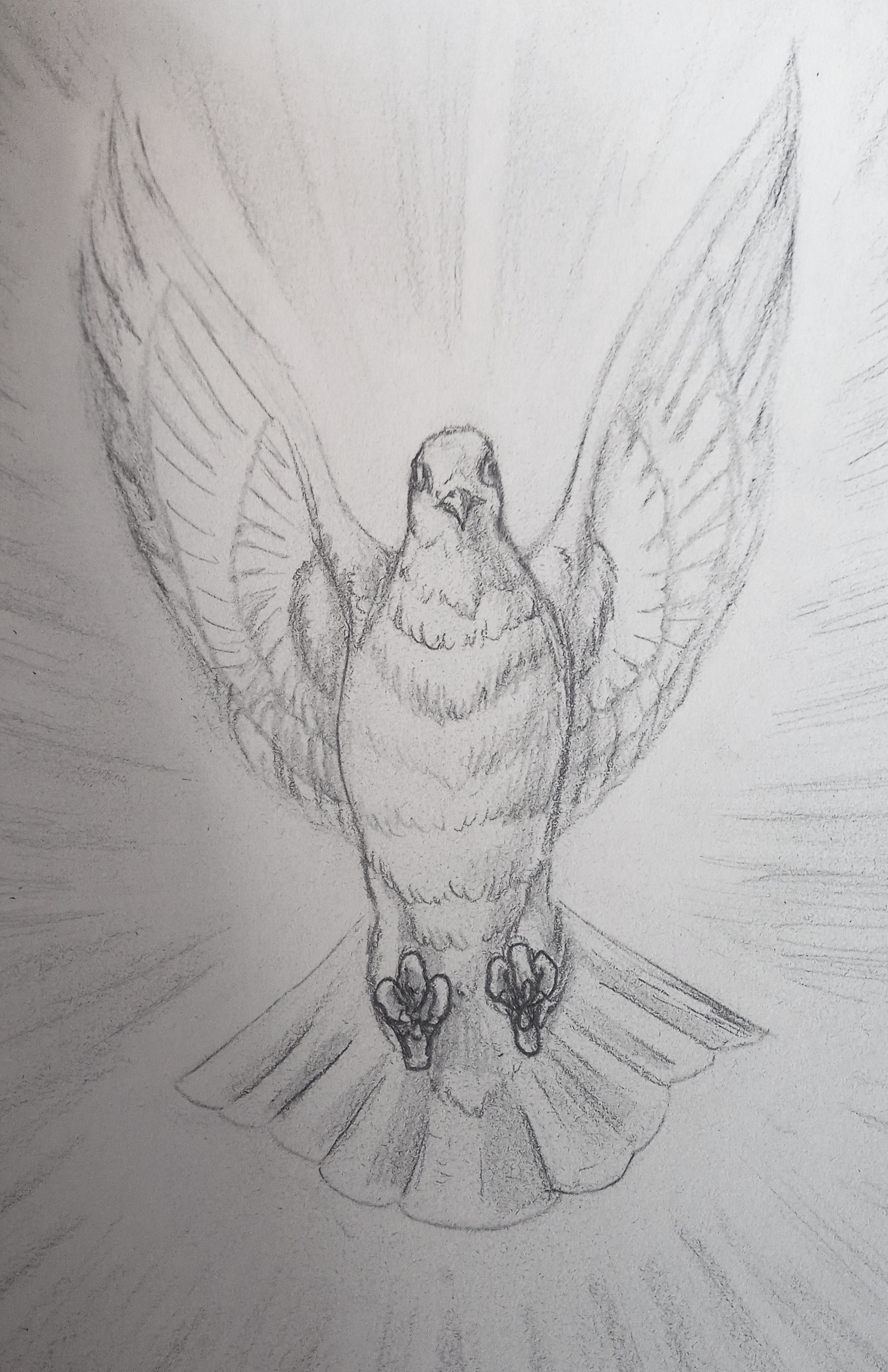 Sketch Drawing - Holy Spirit By Dinahmite64 On Deviantart