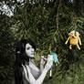 Marceline