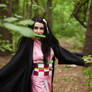 Nezuko cosplay