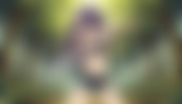 Edge of the Quiet Forest