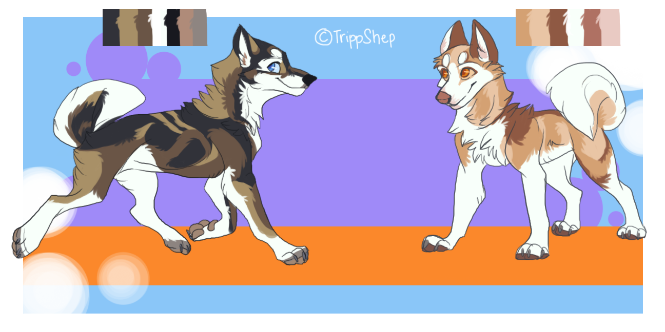 Reference Sheet for TrippShep