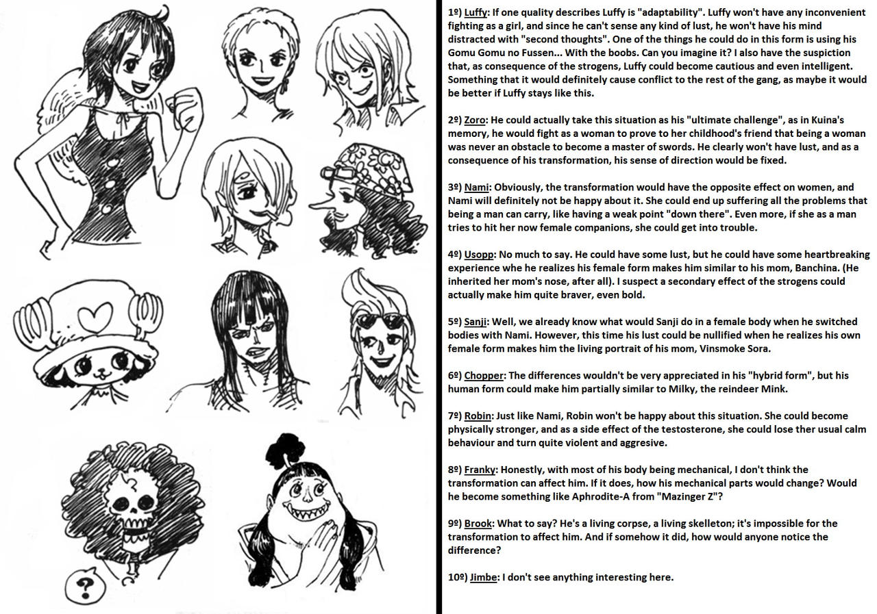 One Piece - Potential Spoilers