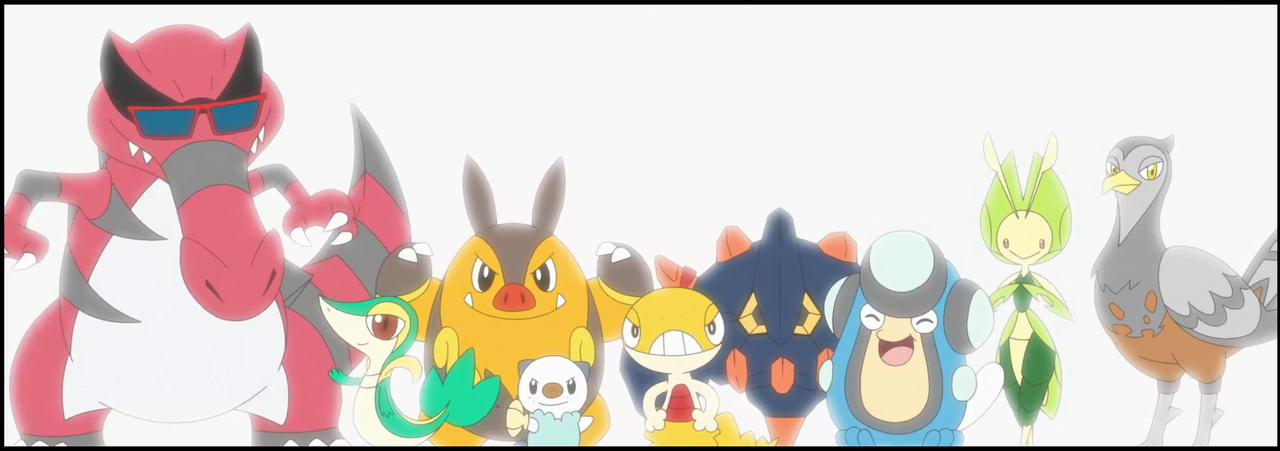 Pokemon 07 - Unova Team