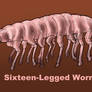 Sixteen-legged worm