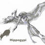 Hippogypi