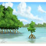 Mangrove Shore