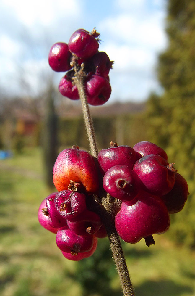 spring will come by DestinyGraphic on DeviantArt