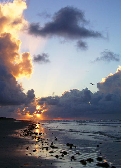 beach sunrise 3-- repost