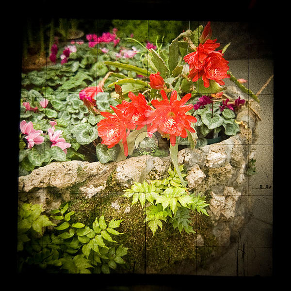 TTV four by iampeewee on DeviantArt