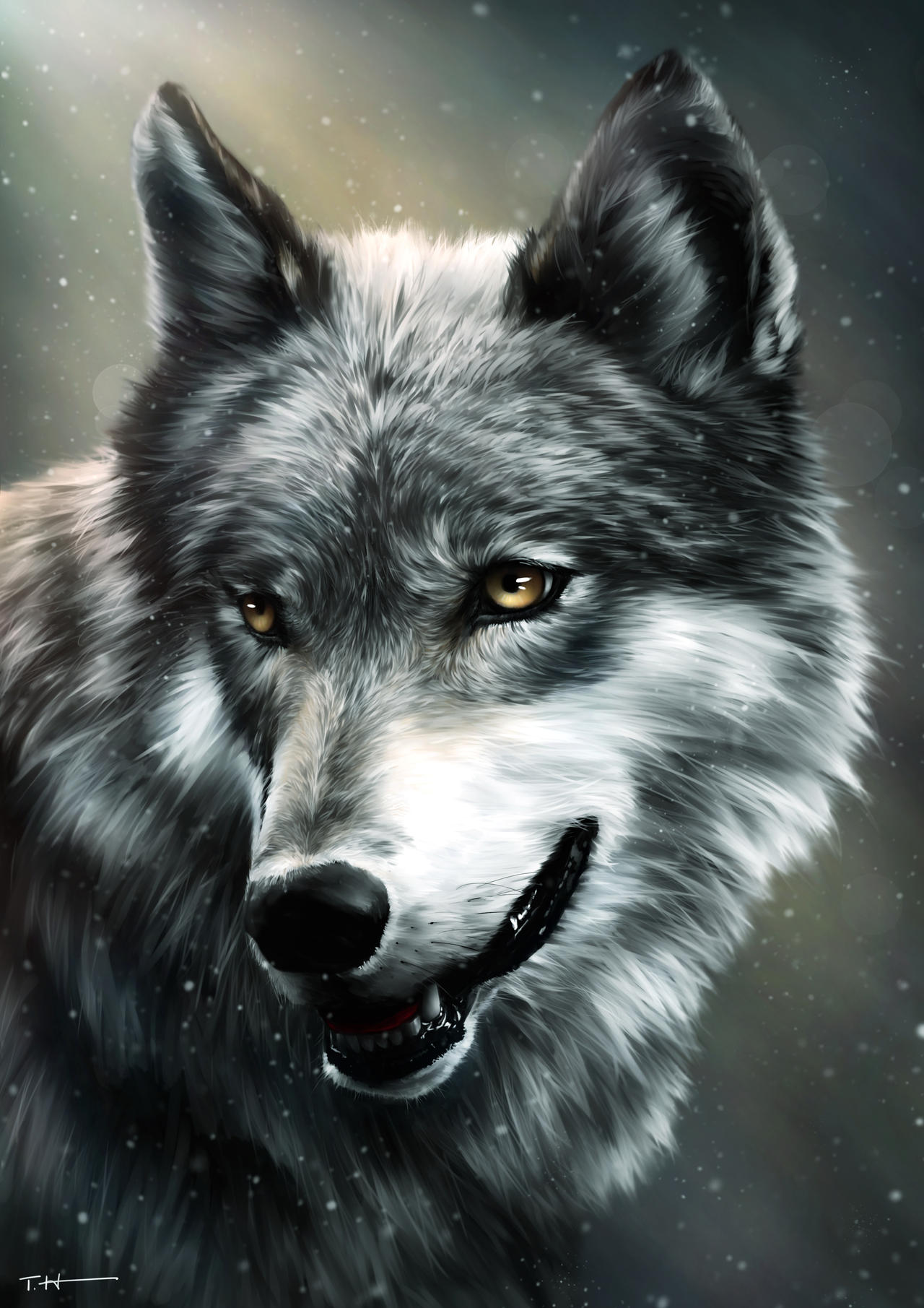 Wolf by higu0217 on DeviantArt