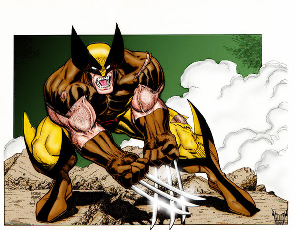 Wolverine by mrfuzzynutz on DeviantArt