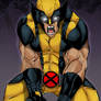 The WOLVERINE