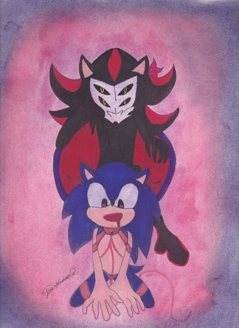 Sonic and Shadow meme by Lauraio on DeviantArt