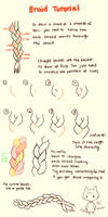 tutorial -- braids