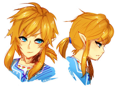 WiiU Link