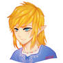 LoZ -- Link's long hair