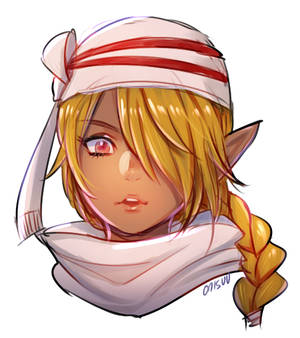 hyrule warriors -- sheik