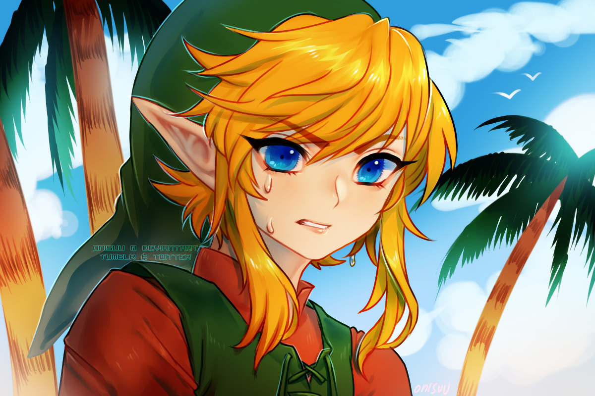 Link's Awakening * video by onisuu on DeviantArt