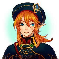 botw -- Royal Guard Link