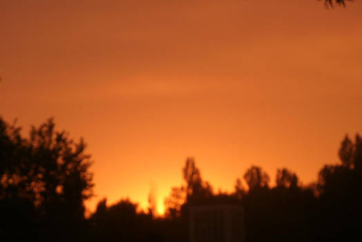 Orange Sky