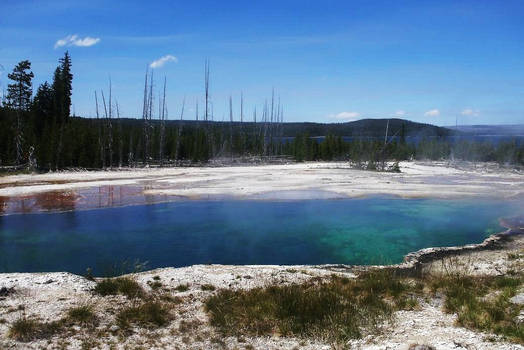 Yellowstone Spring