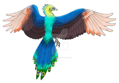 Peacock phoenix