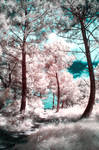 Infrared - Through Grass and Trees to Sand 1 by CrystalClarities