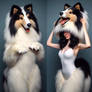 Gorgeous collie strips to her undersuit