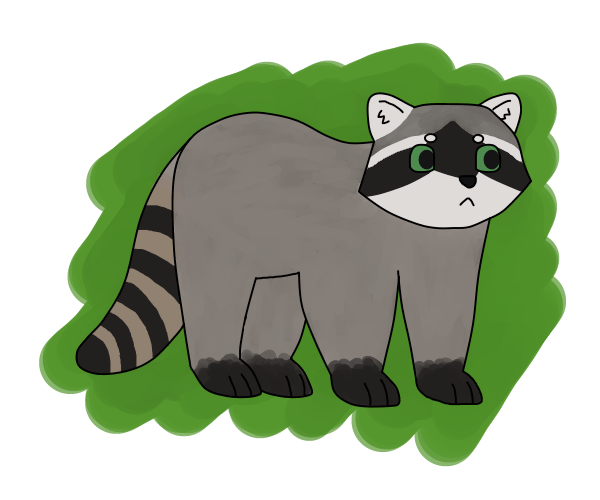 Just A Raccoon