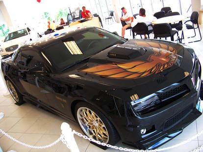 2010 Trans Am_II