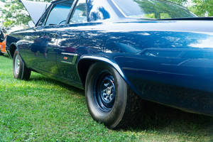 Serious 65