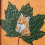 Red Maple Fox