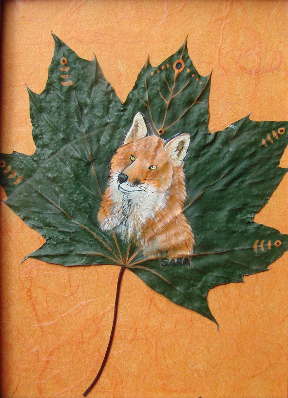 Red Maple Fox by SpottedNymph