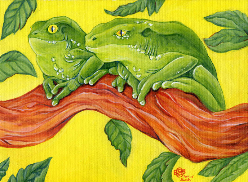 Grumpy Old Frogs by SpottedNymph on DeviantArt