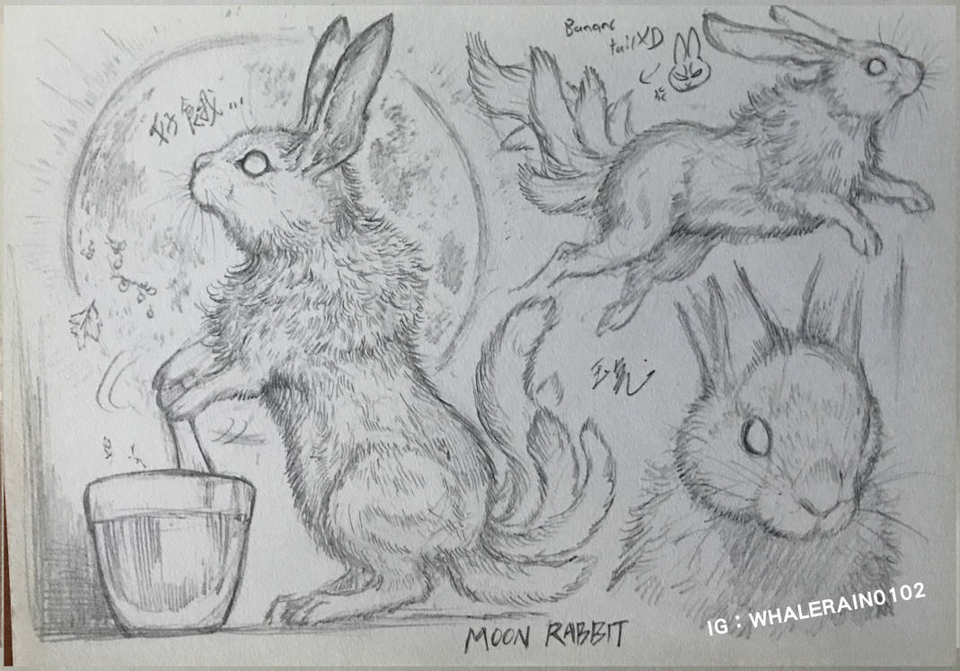 Moon Rabbit by WhaleRain0102 on DeviantArt