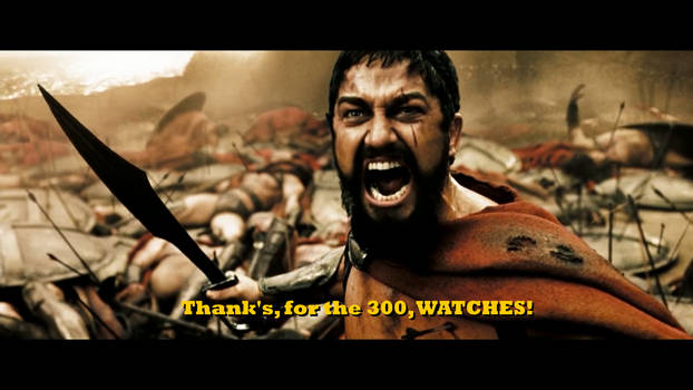Thanks for the 300 Watches